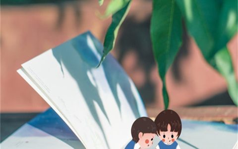 阜阳制冷证可办理证书类型（4类特种作业证）