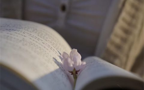 普通人如何进行心理学考证2026年心理咨询师证书这样选！（证书终身有效）