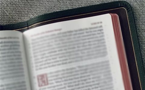 宣城高处作业证报考指南（全国家通用可官网查询）