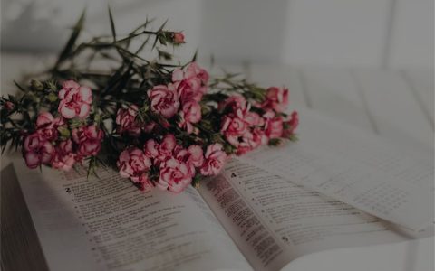 吉安心理咨询师考试时间与报名时点（每年4次考试）
