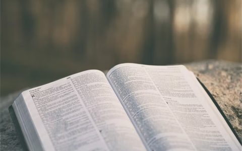 宿州心理咨询师报名条件与材料（中专及以上可报）