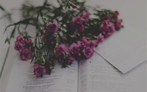 江西心理咨询师报名时间与考试安排（每年2-4次考）