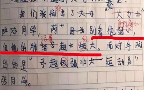 2026安徽电工证报考条件及报名流程（总费用合计1075元）