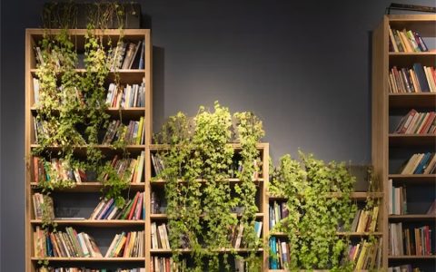 淮南电工证报名条件（18岁+初中学历）
